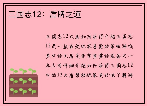 三国志12：盾牌之道