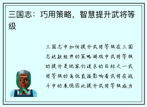 三国志：巧用策略，智慧提升武将等级